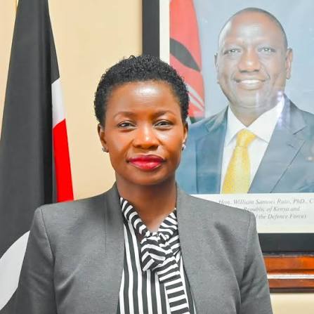 "Budalangi Is Not His Property" The Statement That Could End Ababu Namwamba's Political Career