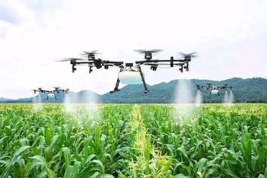 Del Monte Turns to Drones and Drip Irrigation as Climate Pressure Hits Farming