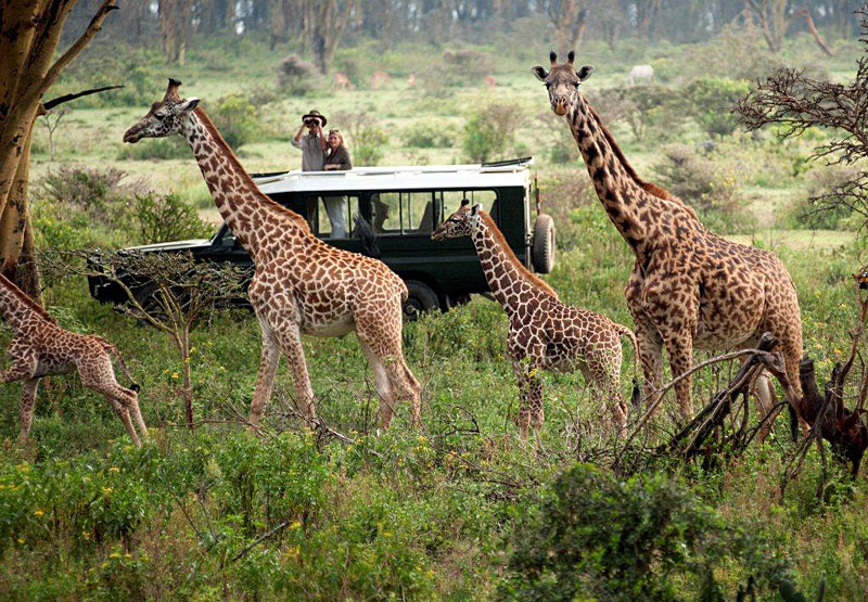 Pressure Mounts Over Development and Tourism in Maasai Mara